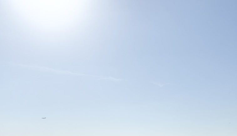 かゆ🌙 tweet media