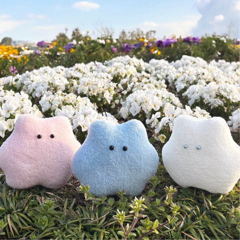 やさしさ tweet media