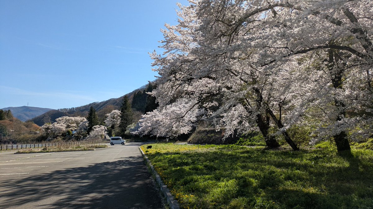 すてっぱー工場長🌻 tweet media