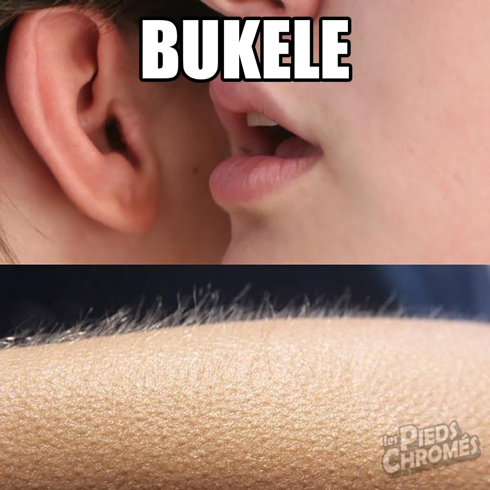 Diablack Chaffe tweet media