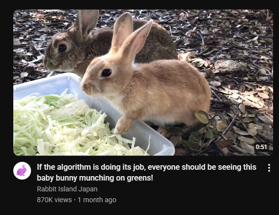 ergobunny's tweet image. 