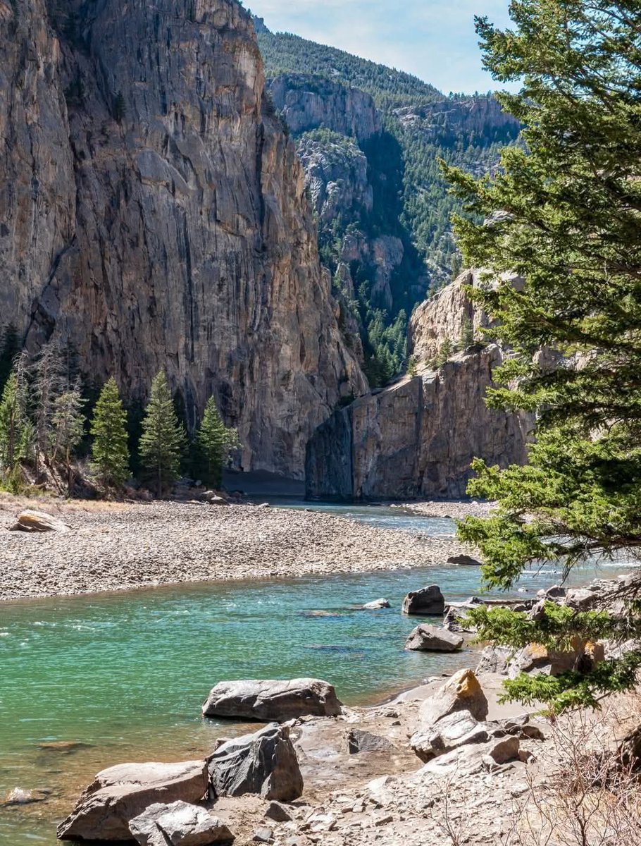 Prarie Patriot tweet media