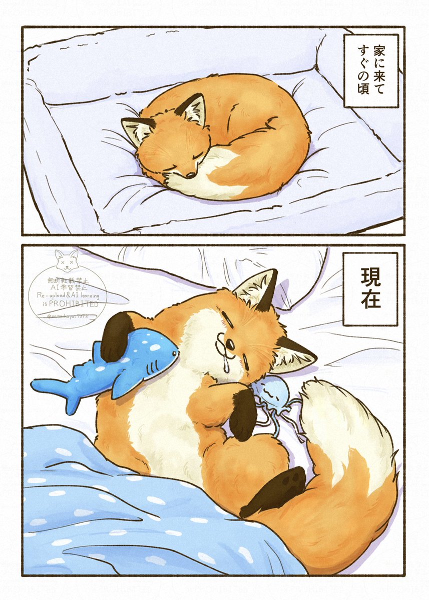 夏朱 優衣/ 書籍「きつねと一緒に暮らしたら」5月18日発売🦊 tweet media