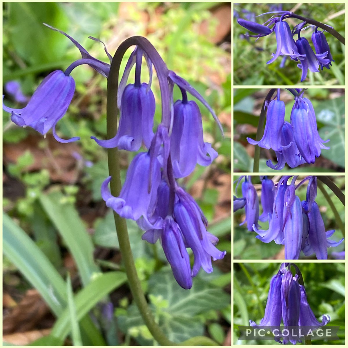 Michelle Clarke tweet media