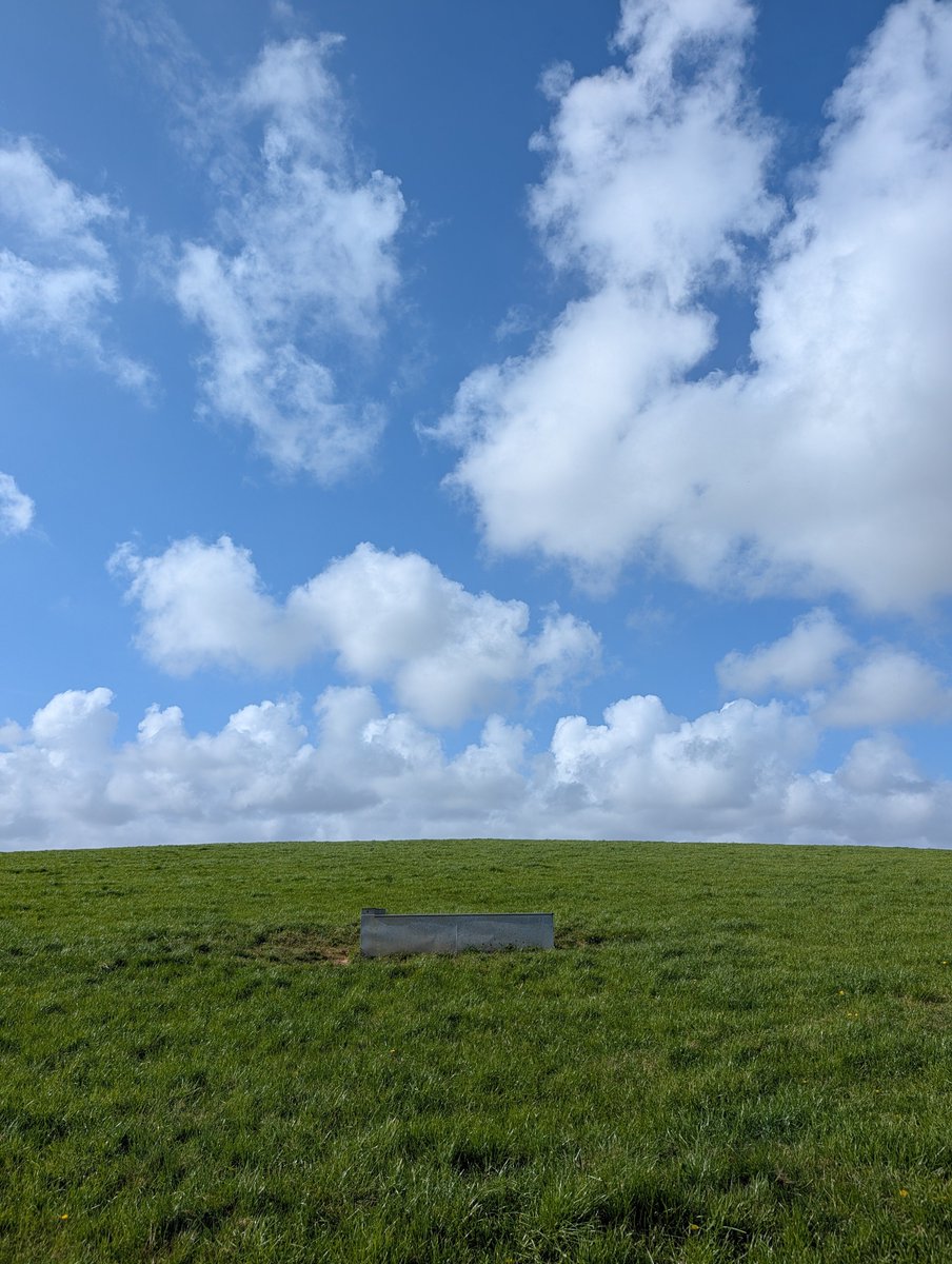 Saffron Swansborough tweet media