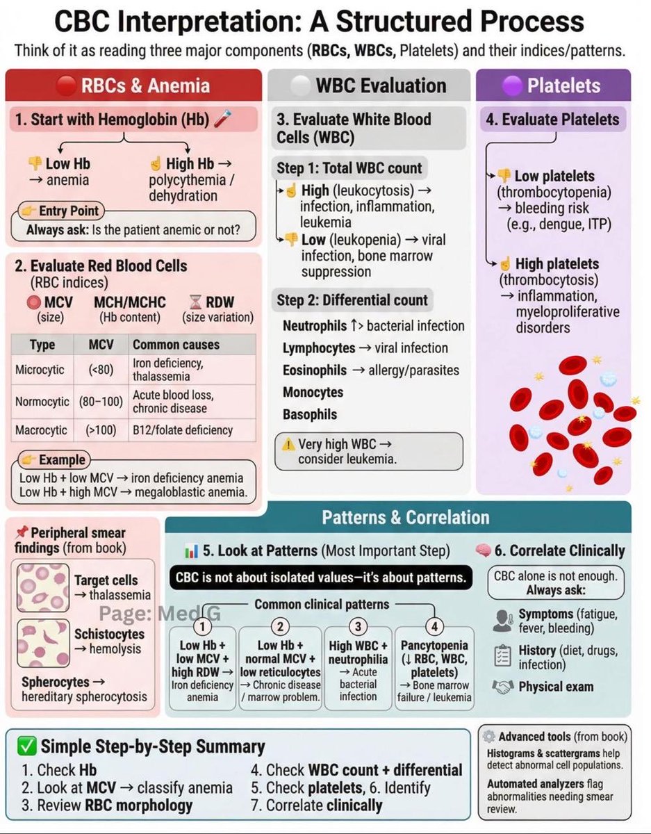Prof Mona Afify, MD tweet media