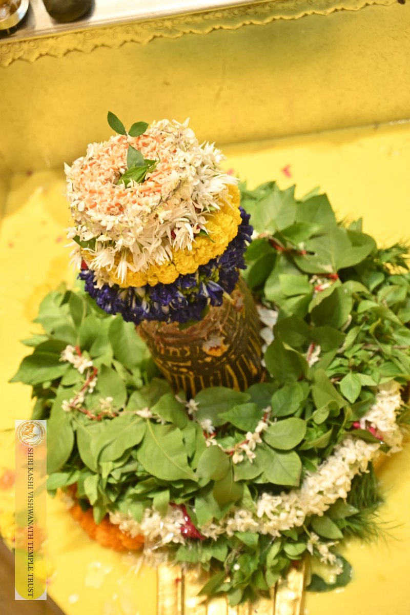 ShriVishwanath's tweet image. श्री काशी विश्वनाथ जी की सप्तऋषि आरती I
#kashivishwanath #kashi #hindu #sanatandharm