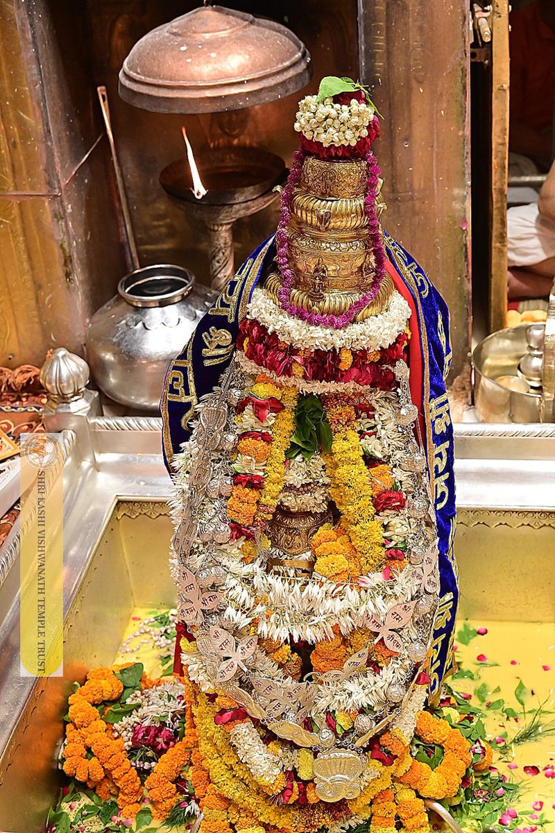 ShriVishwanath's tweet image. श्री काशी विश्वनाथ जी की सप्तऋषि आरती I
#kashivishwanath #kashi #hindu #sanatandharm