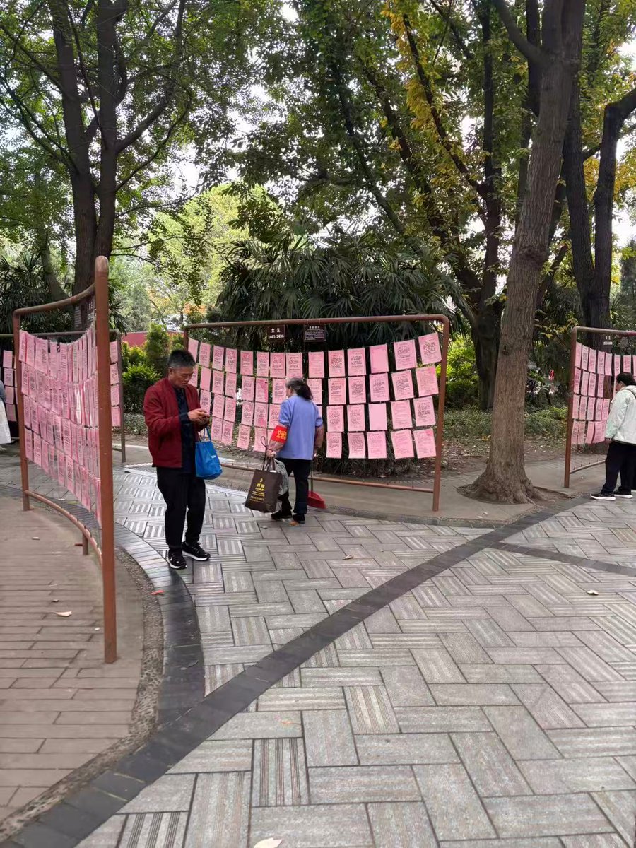 StPaulAngoulem's tweet photo. Aujourd’hui, nous avons poursuivi notre visite de Chengdu. Ce matin, nous avons pu visiter le parc du peuple où nous avons fait des attractions et pu voir les petites annonces pour trouver un partenaire, il s’agit d’un système unique, propre à la Chine... https://t.co/dIJeME0U6o