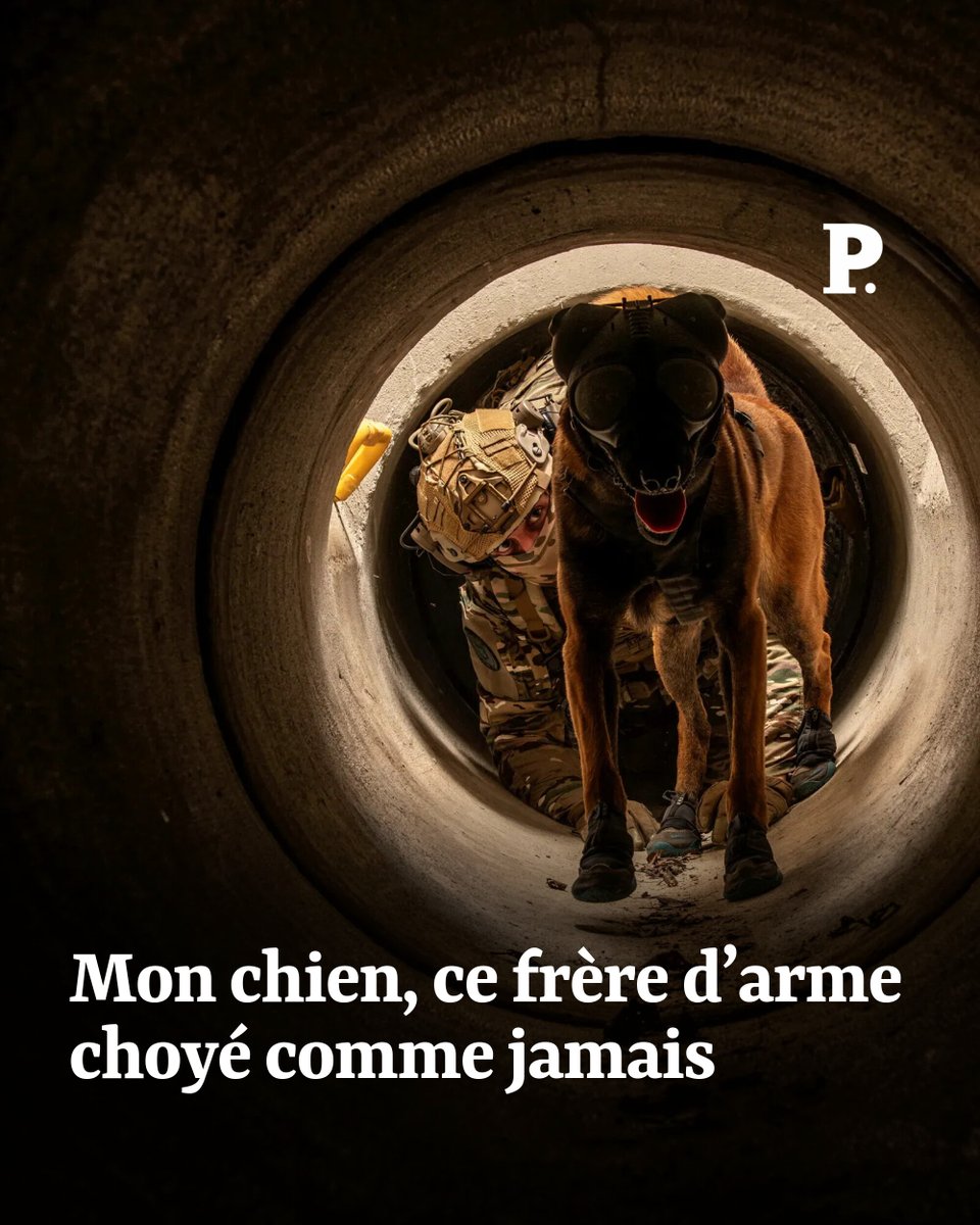 Le Point tweet media