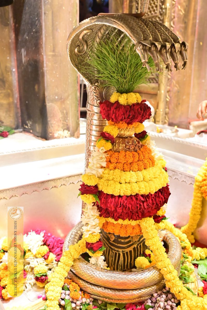ShriVishwanath's tweet image. श्री काशी विश्वनाथ जी की श्रृंगार आरती I
#kashivishwanath #kashi #hindu #sanatandharm