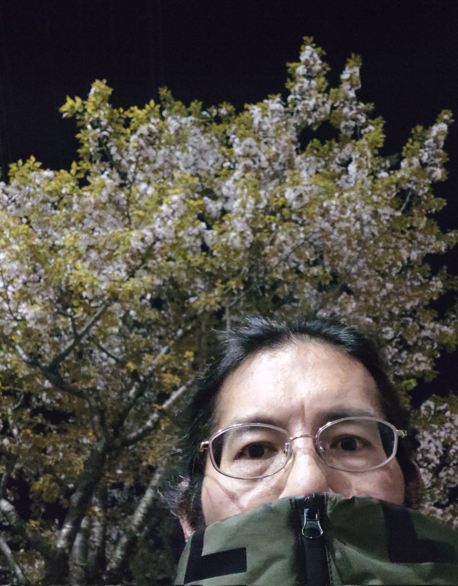 ホイ@英国（ちょろい変態）紳士( ´ ཫ ` ) tweet media