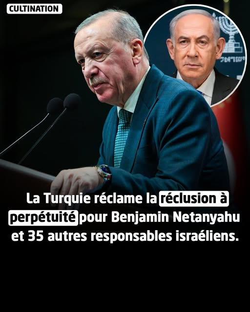 Jacques Renardiere tweet media