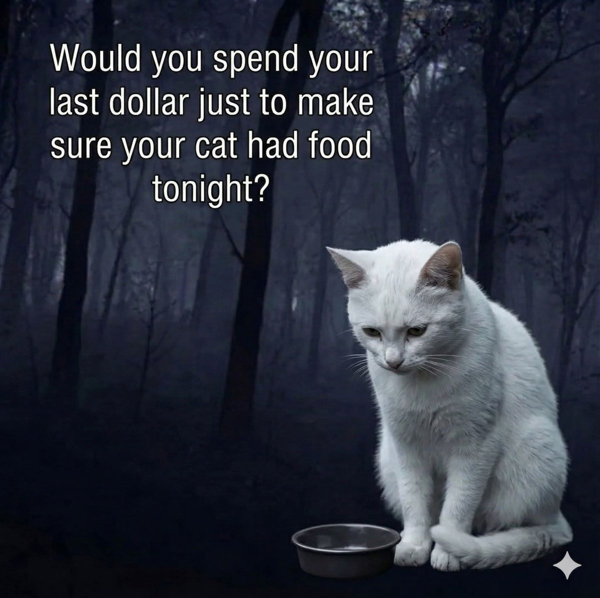 Sara Mary ⭐❤️ tweet media