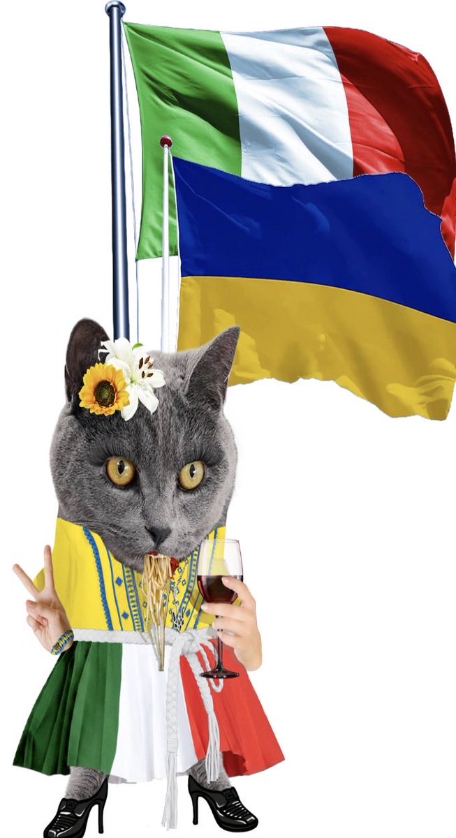  Sorry sunshine, wrong place!🇪🇺🌻🇺🇦🌻I'm NAFO tweet media