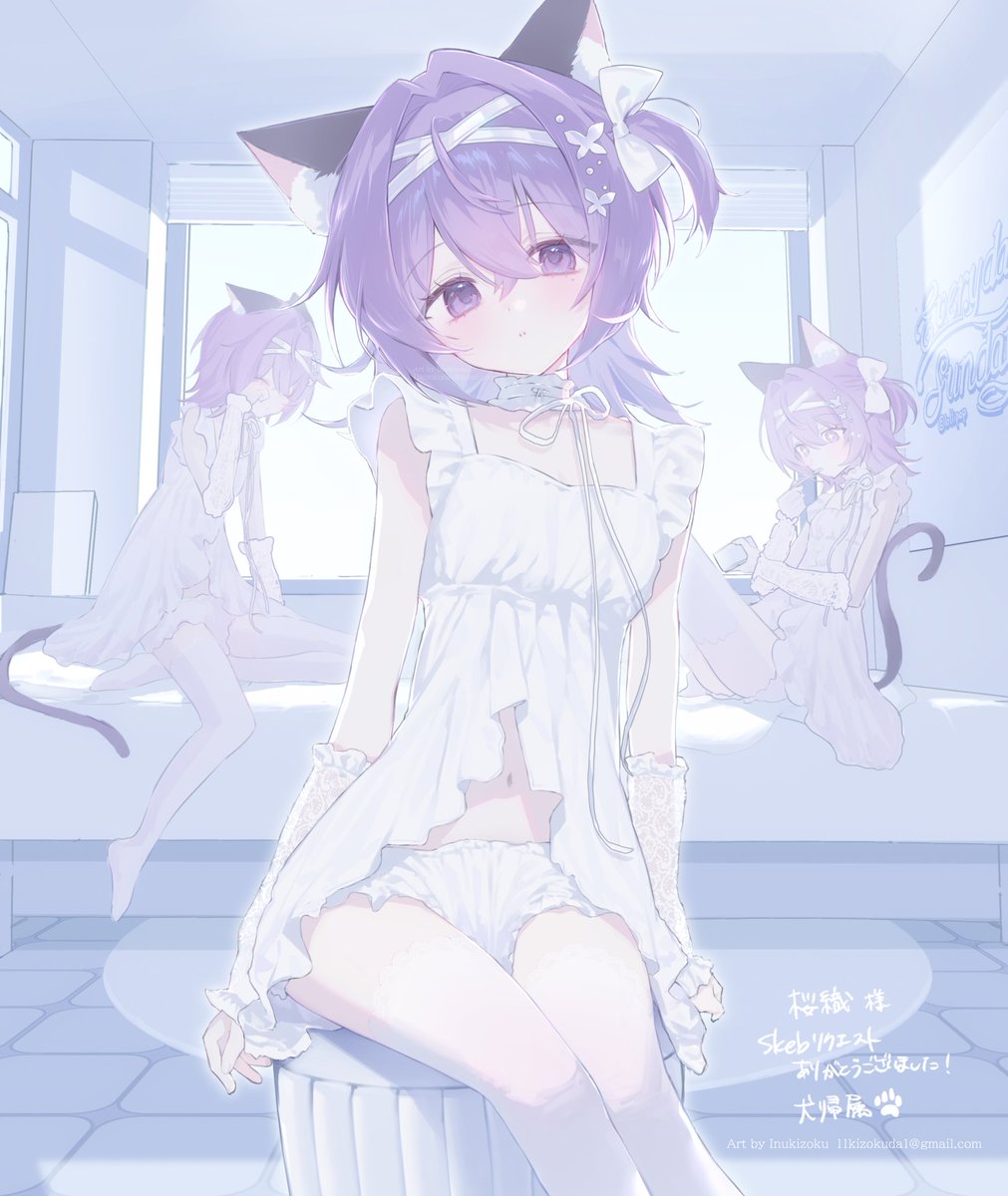 犬帰属 tweet media