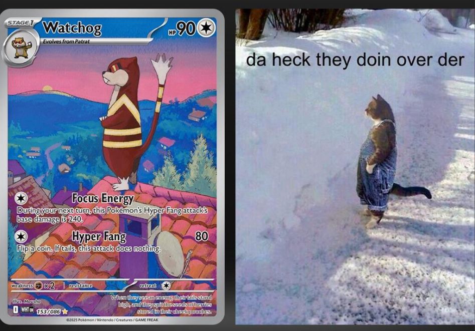 Pokémon Posts tweet media