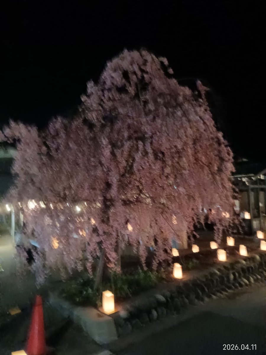 AfterDSVO's tweet photo. 土曜日の夜は地元の夜桜夜市に行きました。
その後、カラオケスナックで日��変わるまで呑んでた。 https://t.co/a5CqTtNdzj