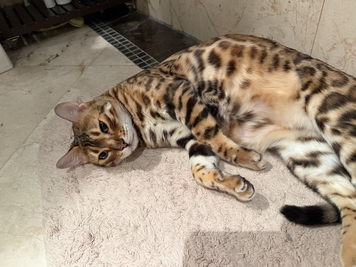 陈一发儿 tweet media