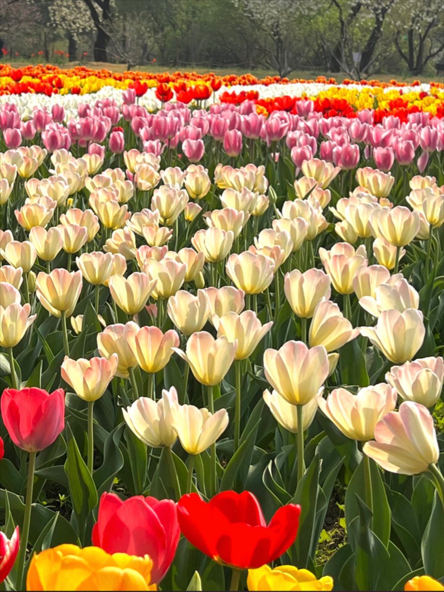 이은정 tweet media