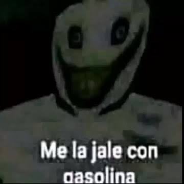 Hornet fachera tweet media