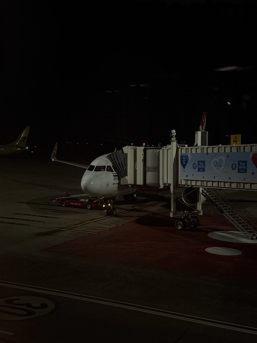 palo 🧸 tweet media