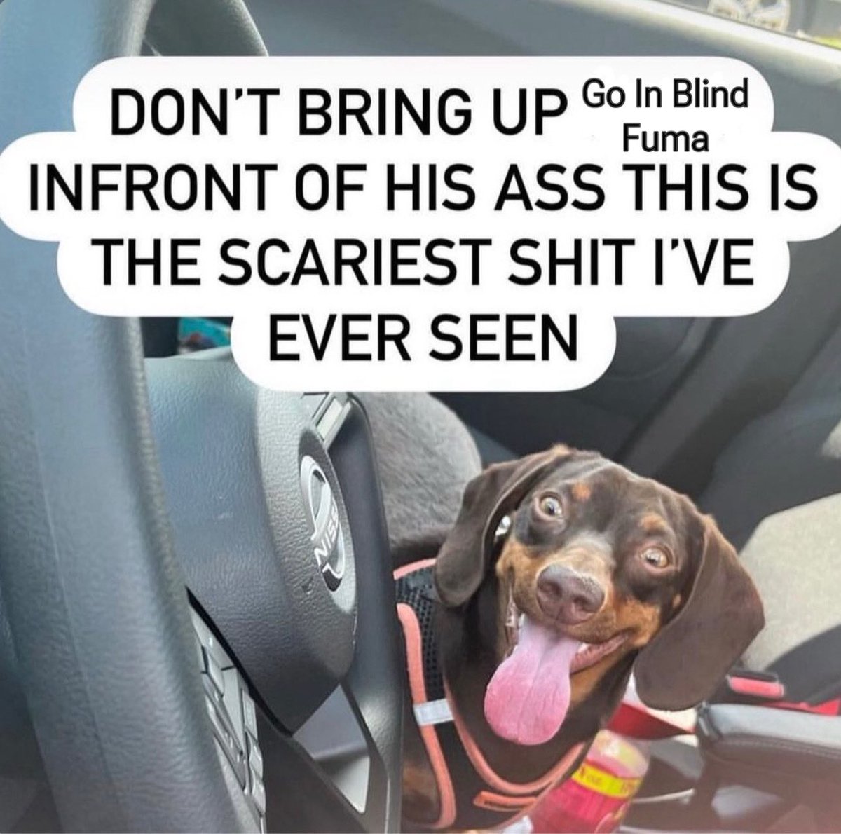 wren on fire ৡ tweet media