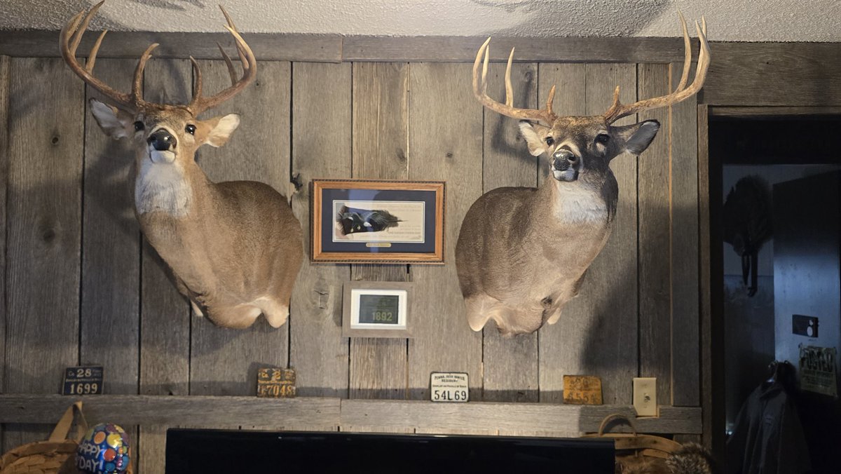 Stoy Ranch tweet media