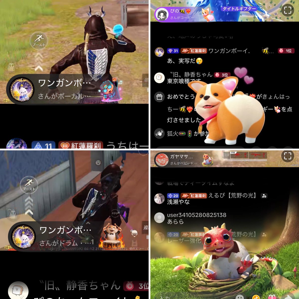 🐈きょんはっちー🐝❤️‍🔥 tweet media