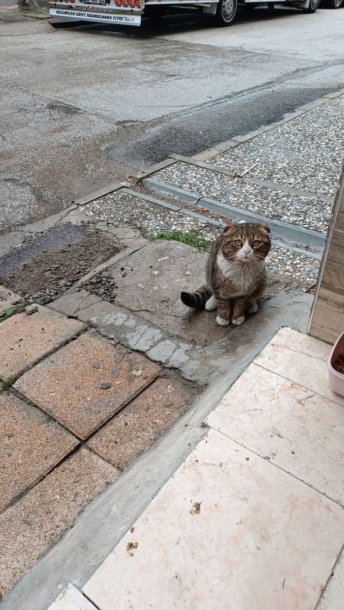 Zülal Kutluer tweet media