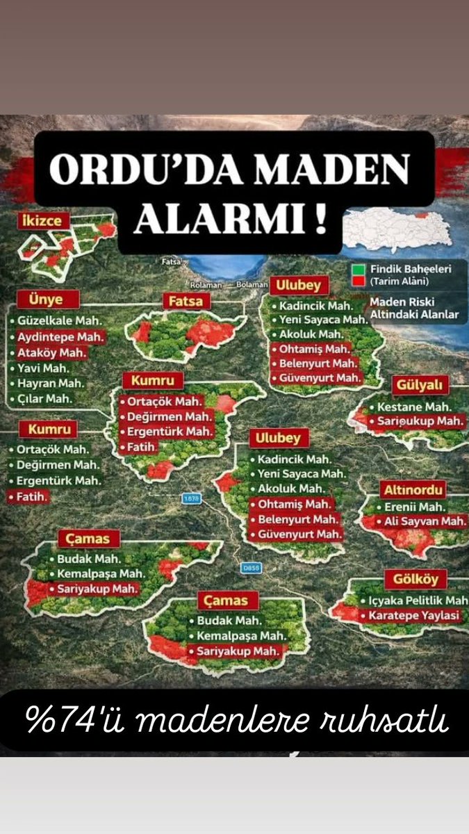 Fatoş Erdoğan tweet media