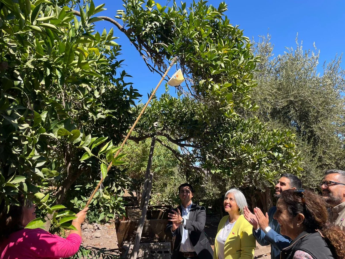 Radio Comunicativa tweet media