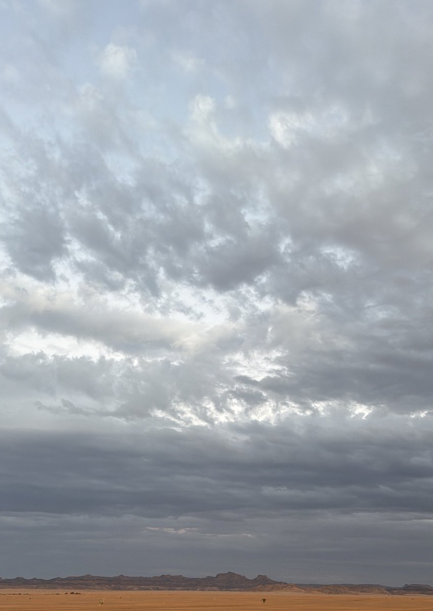 عياش tweet media