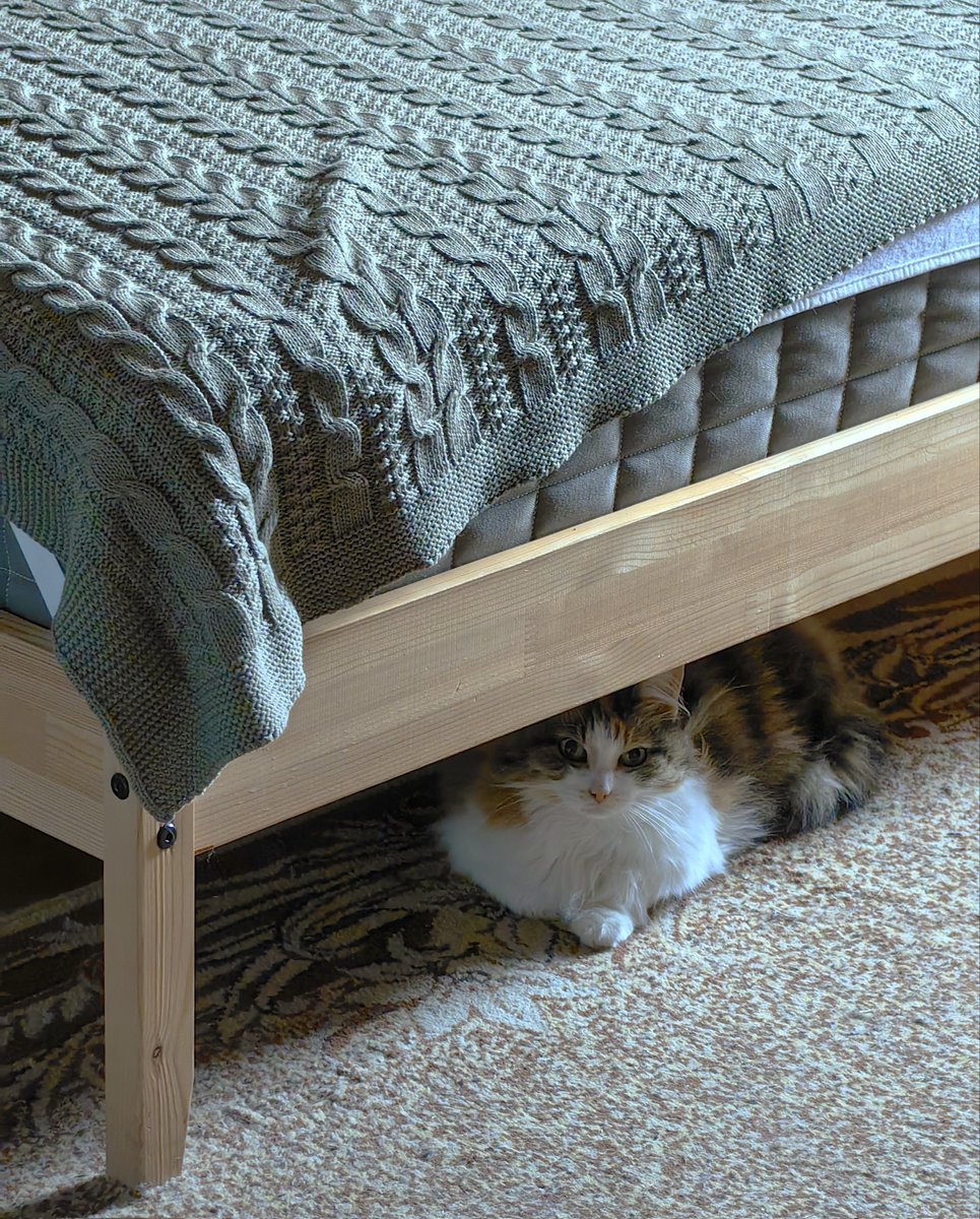 Искусство Быть Посторонним tweet media