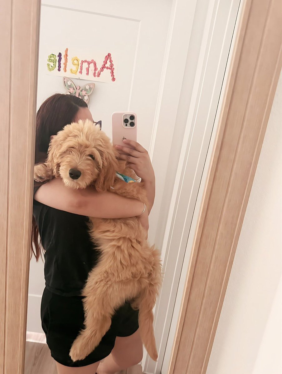 Andrea Albornoz tweet media