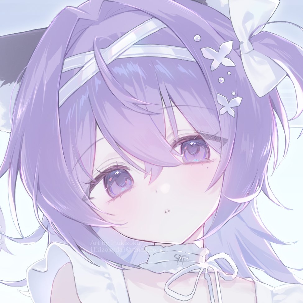 犬帰属 tweet media