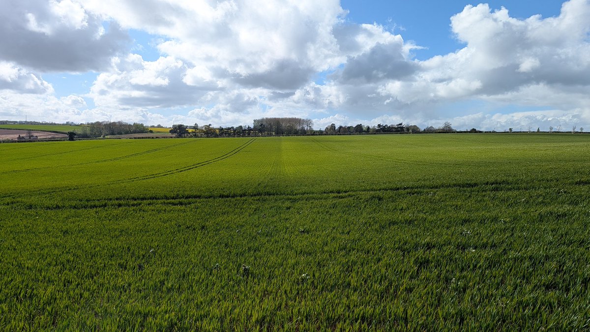 Ally Hunter Blair tweet media