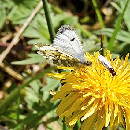 Donogh Sweeney tweet media