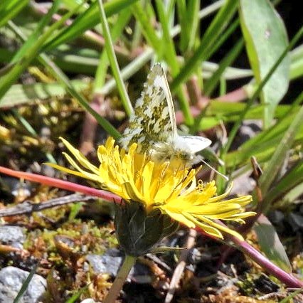 Donogh Sweeney tweet media