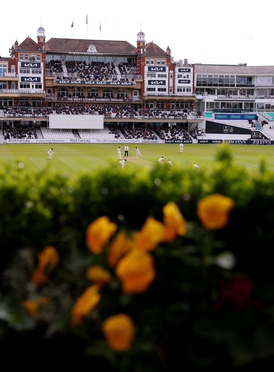 Surrey Cricket tweet media