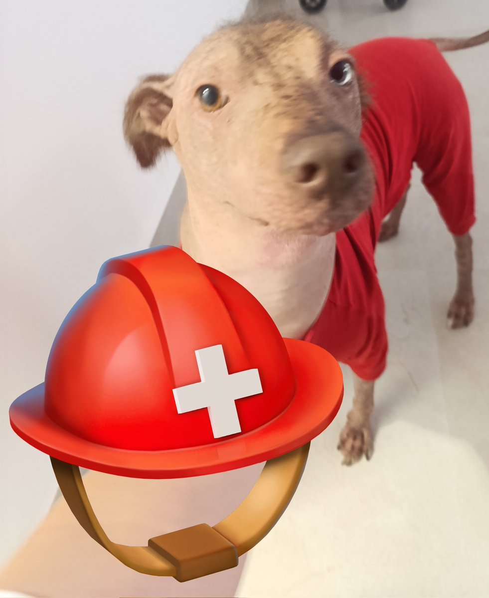 Tito Peralta tweet media