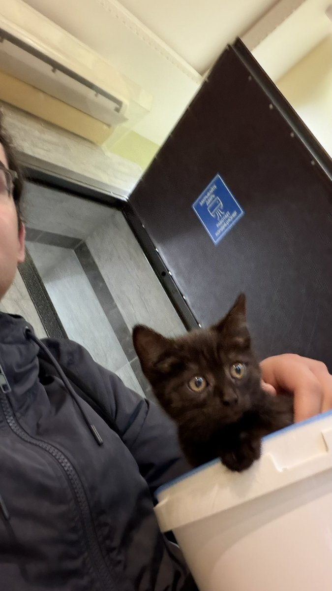 Саша и пушистый_сфинкс tweet media