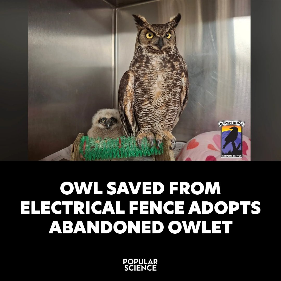 Popular Science tweet media