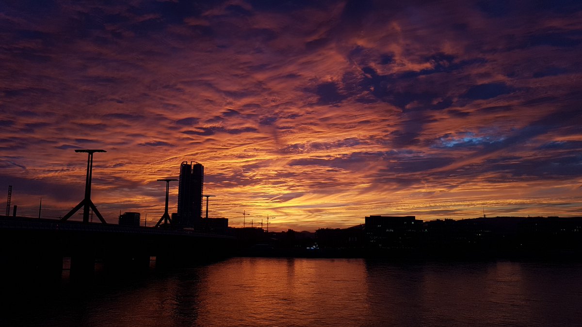 Raugharr tweet media