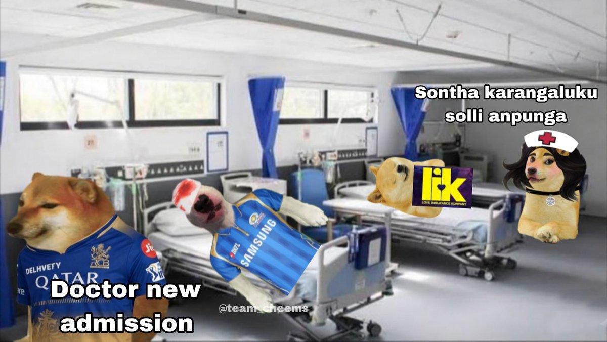 Team Cheems tweet media