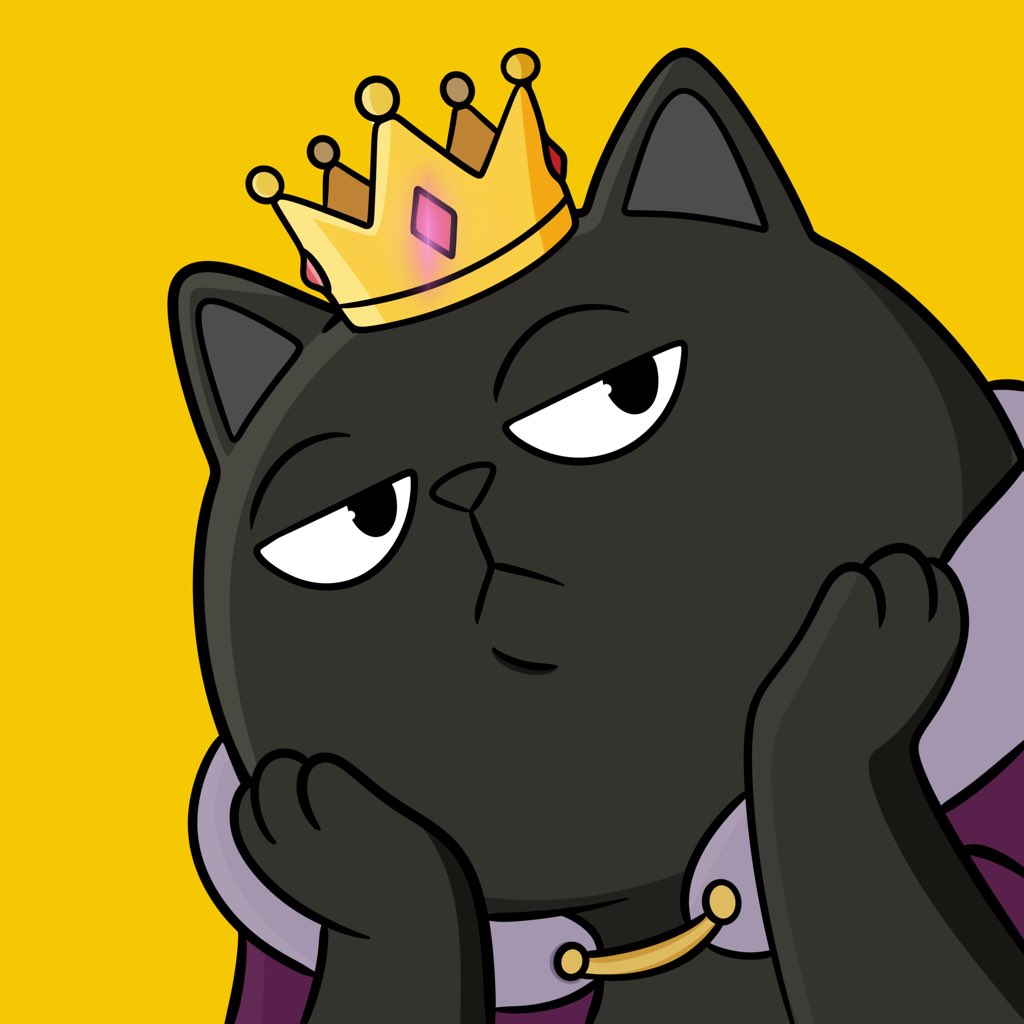 WTF Cats tweet media