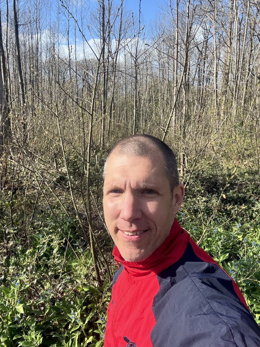 bobbymcneill12's tweet image. When your football world is crashing down around you, no music, no @talkSPORT and no podcasts, just some quiet time in the woods running #recharge