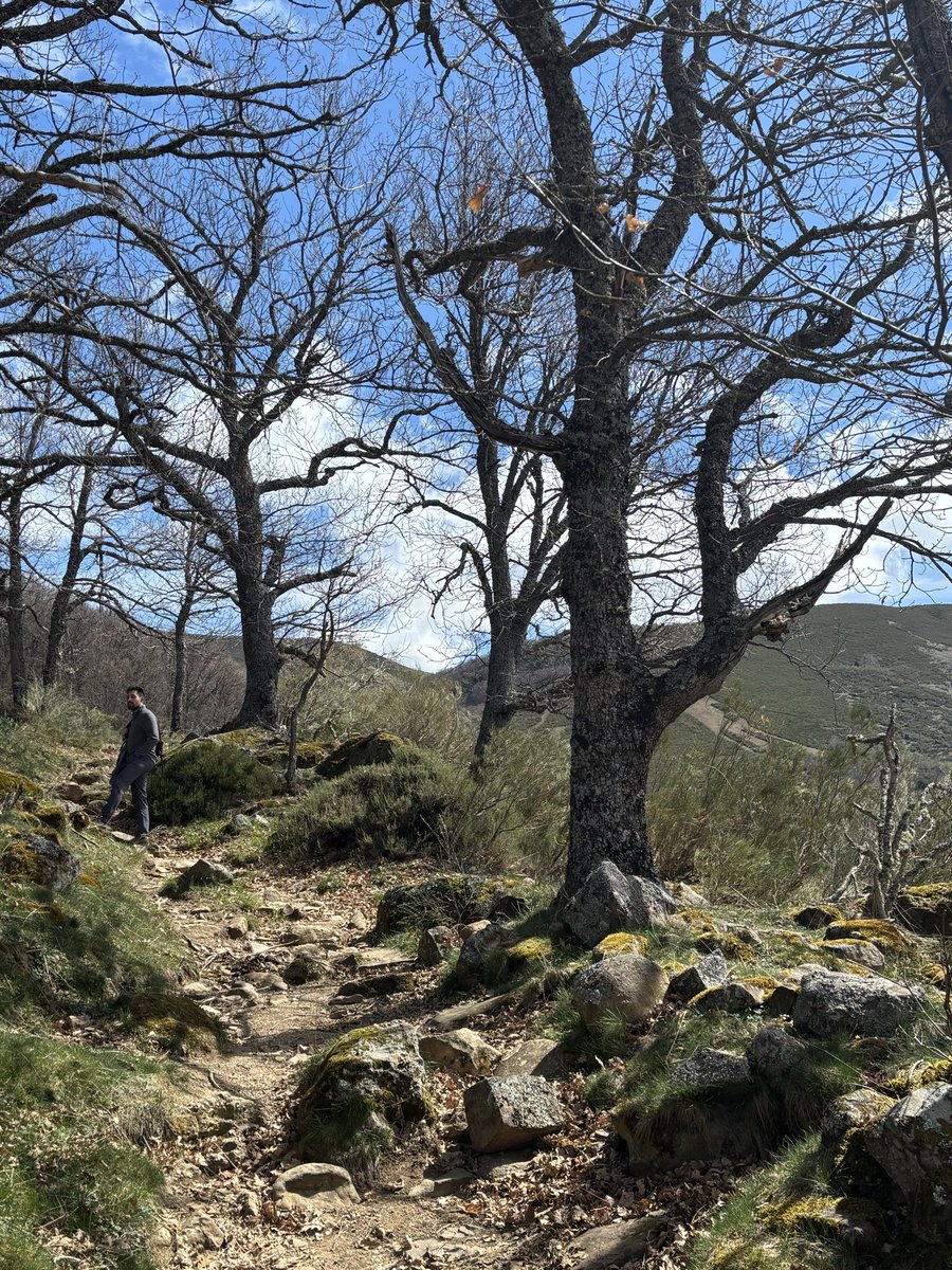 Piluki2013's tweet photo. La Montaña Palentina siempre tan bella. 🥰 https://t.co/A5sOjXr3tB