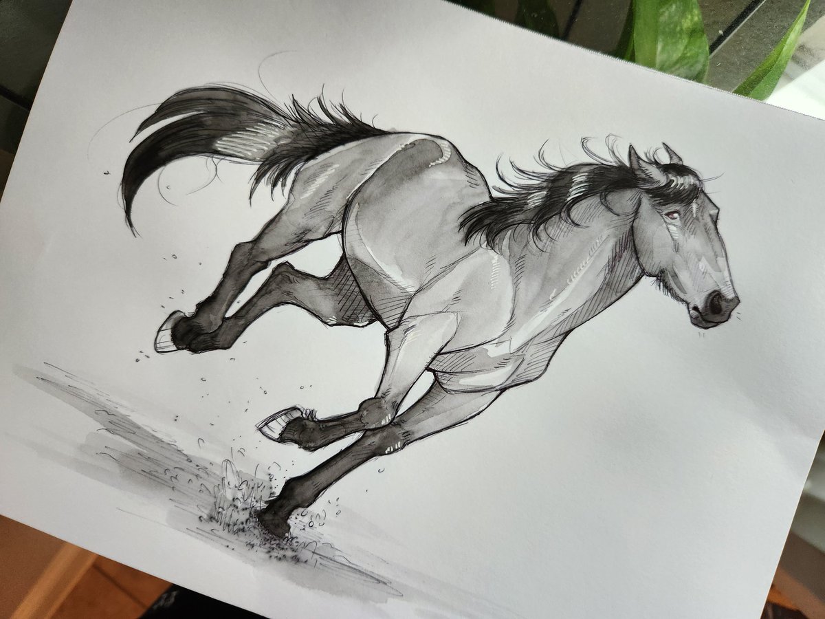 🌿 WILDS 🌿 tweet media