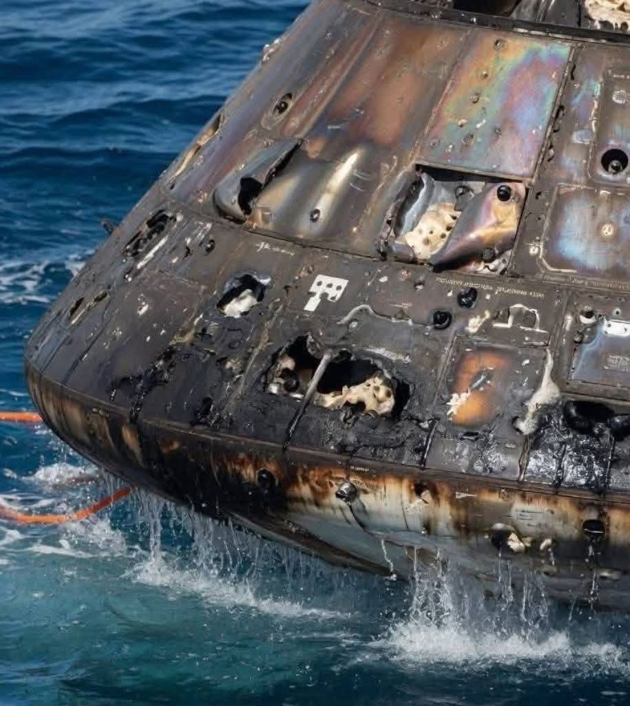 Ale Pavanelli tweet media